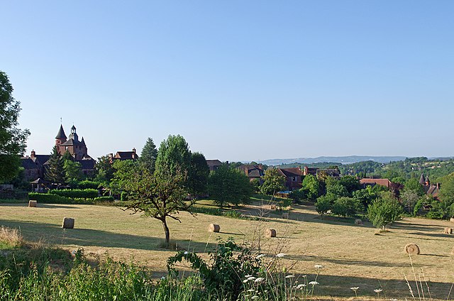 Un paysage de campagne avec un village médiéval en arrière-plan, composé de maisons anciennes et d'une église avec clocher, entouré d'arbres et de champs ouverts parsemés de bottes de foin, illustrant un cadre rural paisible et authentique.